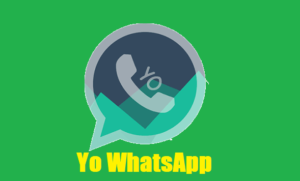 Yo WhatsApp