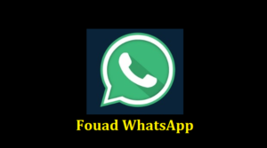 Fouad WhatsApp